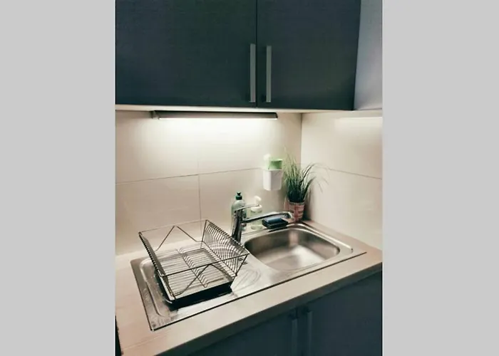 Apartment Amadeus - Tram Station To The Opera 2 Mins Away Vienna